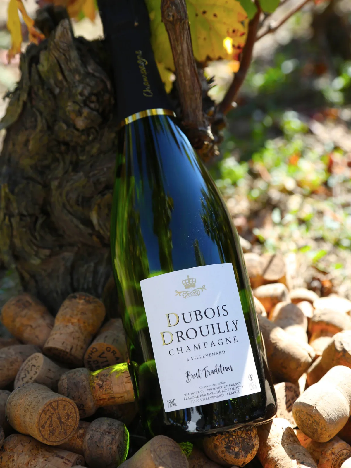 Cuvée · Champagne Dubois-Drouilly